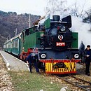 Музеен теснопътен парен локомотив 60976